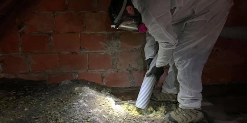 When you want the best in bat cleanouts you want Buckeye Wildlife Solutions NW