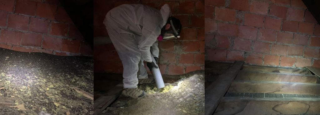 Buckeye Wildlife Solutions Northwest is Ohio's Toledo Bat Removal company of choice.