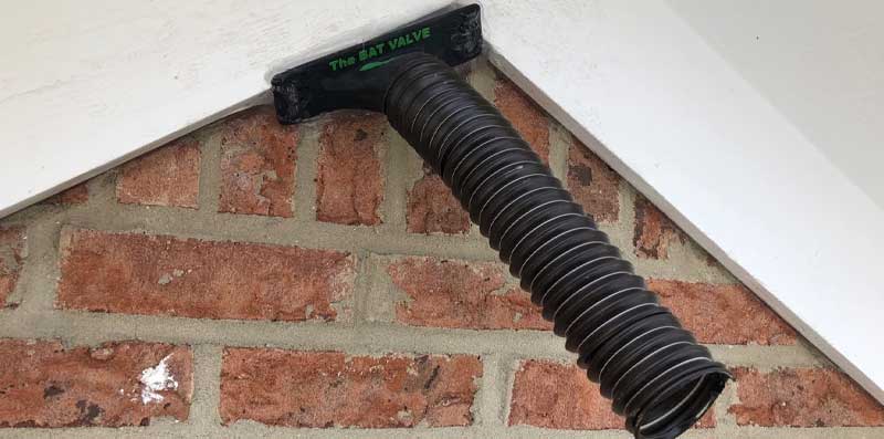 the bat valve TBV-FR4 at Huron Bat Removal