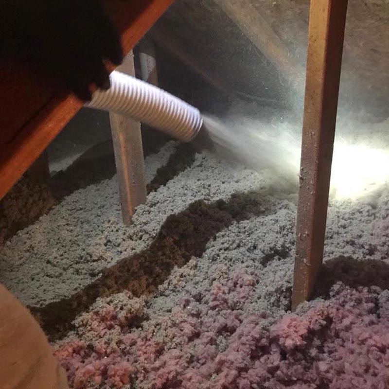 When you want the best in insulation replacement you want Buckeye Wildlife Solutions NW