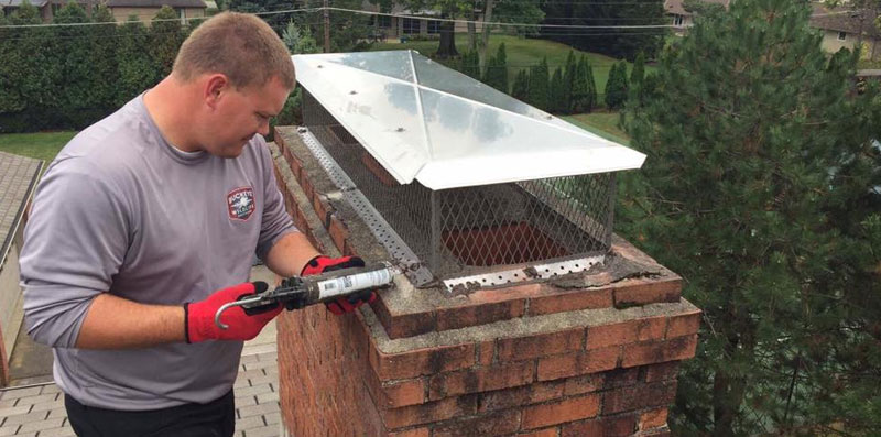 Bat Proofing Structures with chimney covers