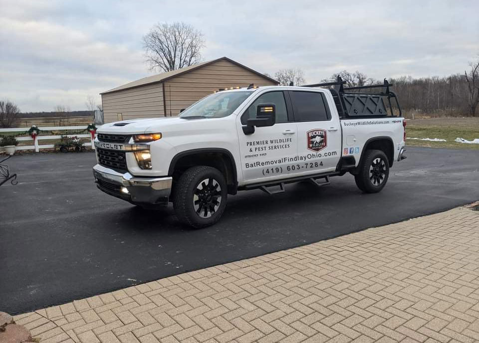 Have you heard about toledo bat removal? If you haven't stop by our website at toledobatremoval.comand learn more.