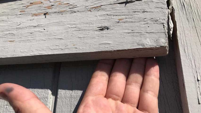 Fixing gaps in wood is an important Bat Removal And Exclusion process.