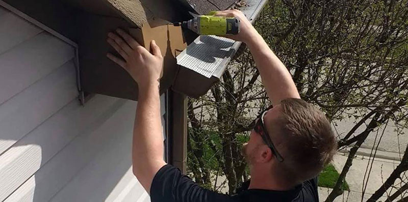 Bat Proofing Structures by placing flashing over gaps