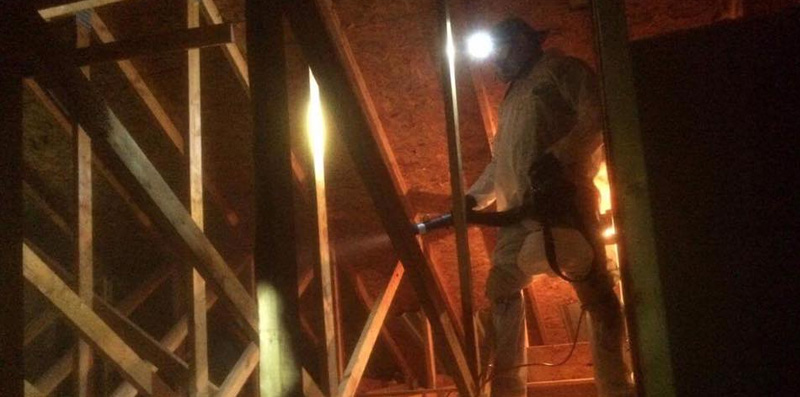 Fogging and attic after attic decontamination by our Buckeye Wildlife Solutions Northwest Toledo Bat Removal Attic Cleanup Sanitation team.