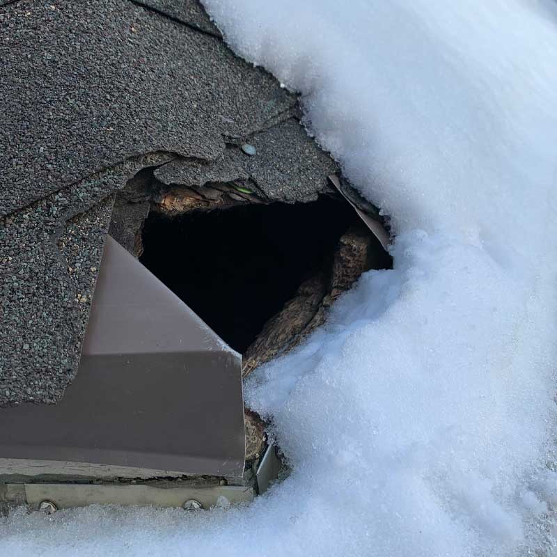 hole-in-roof-A Covering holes in your roof is necessary for Bat Removal And Exclusion