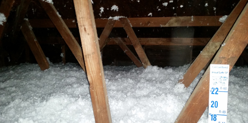 Beautiful while insulation in the attic blown in by our Buckeye Wildlife Solutions Northwest Toledo Bat Removal Attic Cleanup Sanitation team.