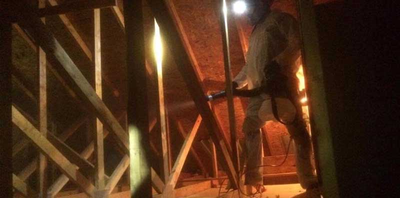 Attic sanitizing at Huron Bat Removal