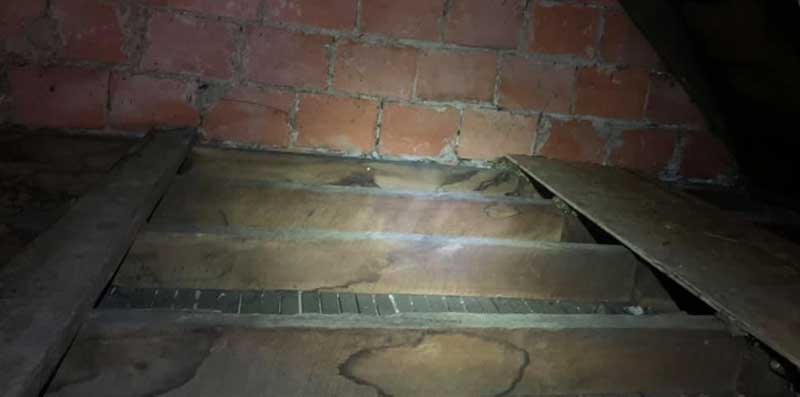 attic cleaned and ready to be sanitized