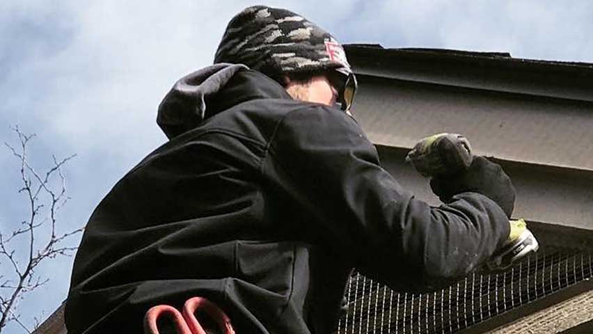 You must screen attic vents for proper Bat Removal And Exclusion