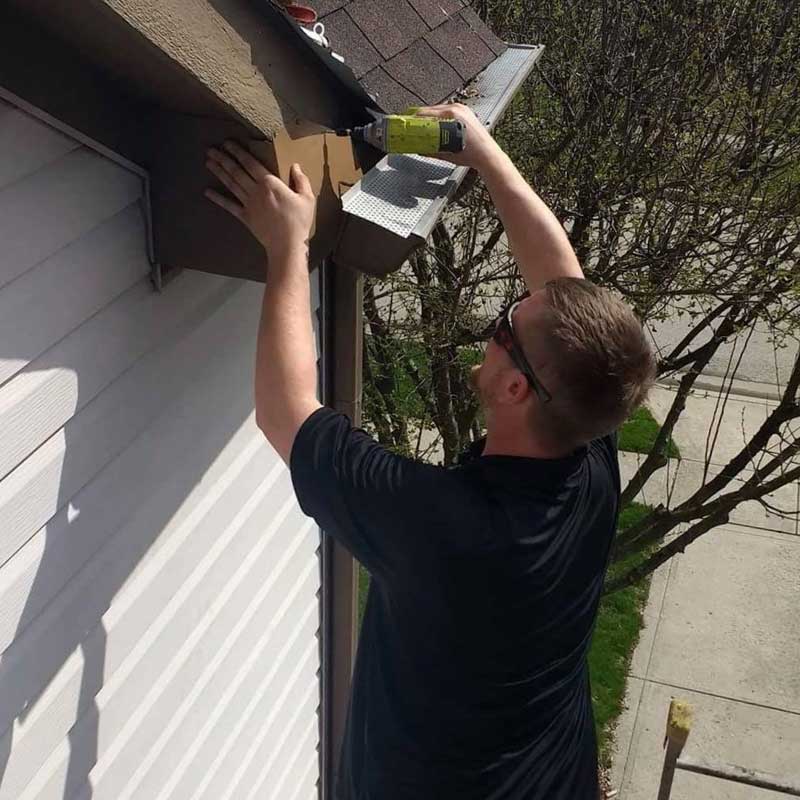 Flashing is used for Bat Removal And Exclusion