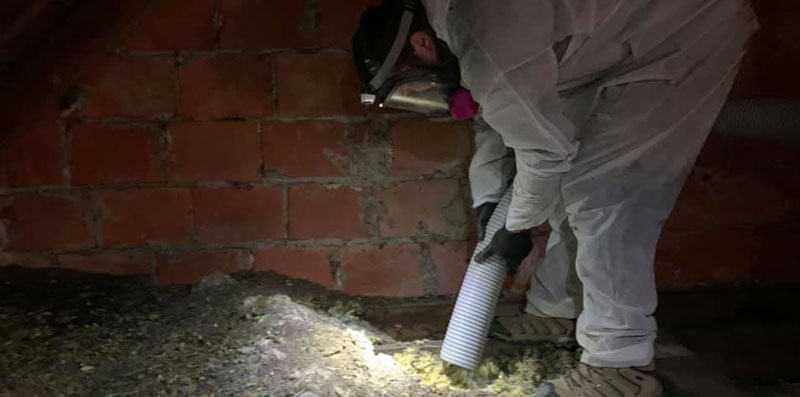 Vacuuming up bat guano by our Buckeye Wildlife Solutions Northwest Toledo Bat Removal Attic Cleanup Sanitation team.