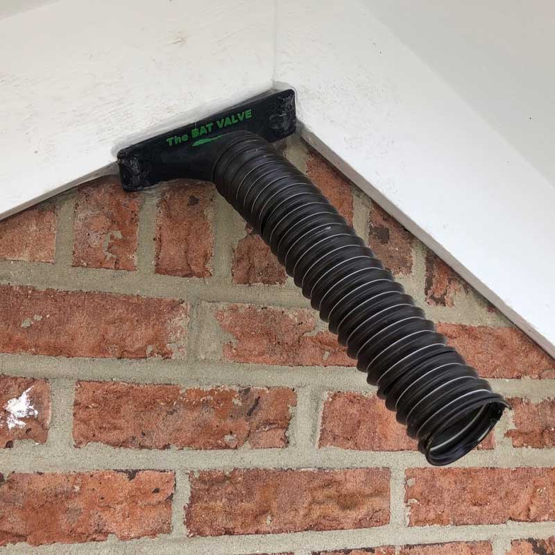Bat Valves are used for Bat Removal And Exclusion