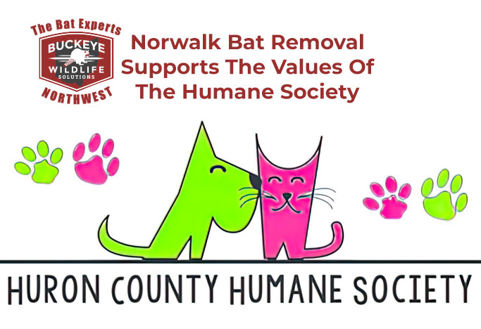 Norwalk Bat Removal supports Huron County Humane Society in Norwalk Ohio